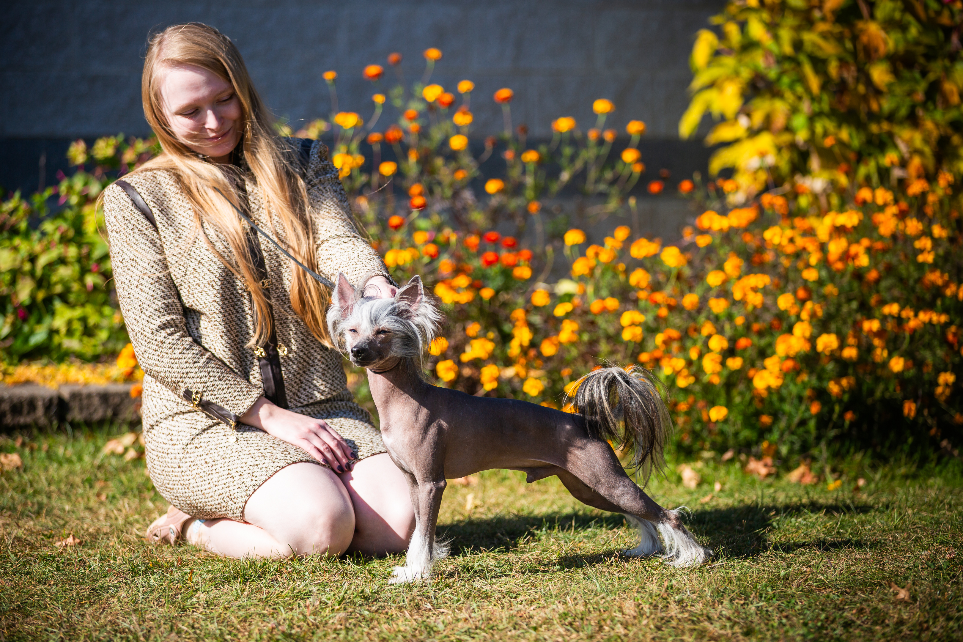 Dog Show Photography by Michael Lofenfeld