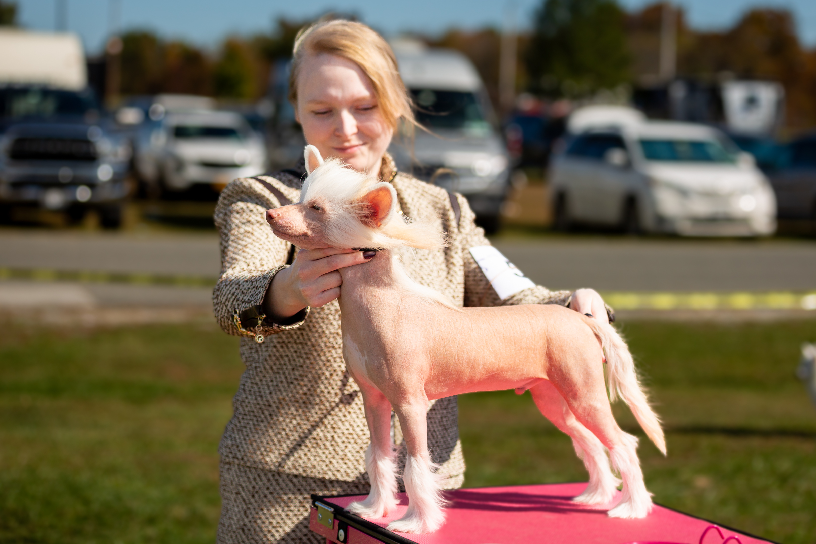 Dog Show Photography by Michael Lofenfeld